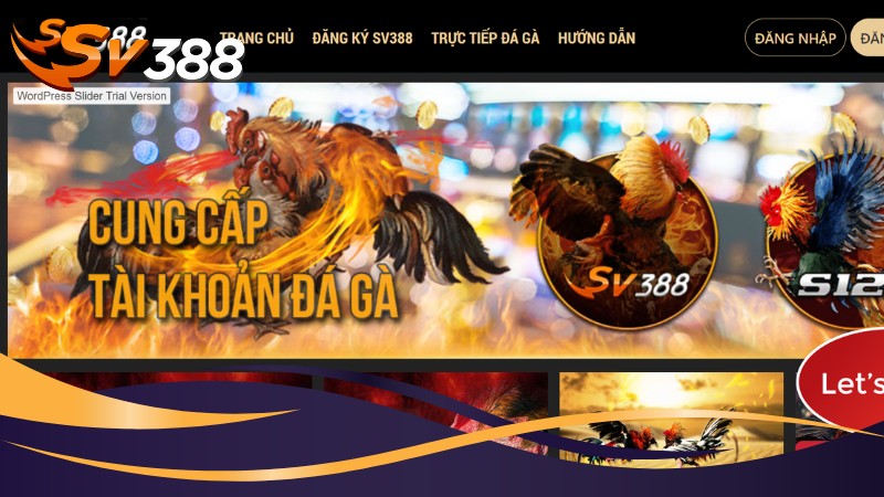 Điều kiện bắt buộc khi đăng ký tài khoản SV388 Điều kiện bắt buộc khi đăng ký tài khoản SV388