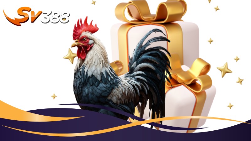 Hướng dẫn cách nhận khuyến mãi SV388 cụ thể Hướng dẫn cách nhận khuyến mãi SV388 cụ thể