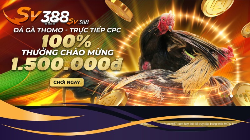 Tổng quan về Đá gà Mỹ SV388 Tổng quan về Đá gà Mỹ SV388